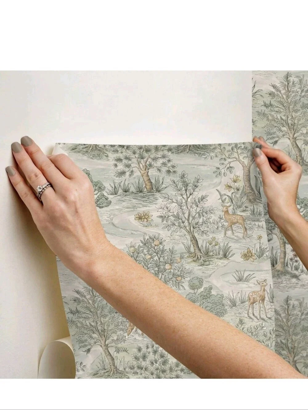Brewster Peel and Stick 1pc Wallpaper Bramble Wintergreen